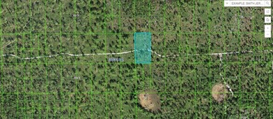 Lake Kissimmee Lot For Sale in Lake Wales Florida