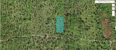 Lake Kissimmee Lot For Sale in Lake Wales Florida