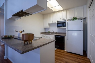 Over $4,600/month in cash flow with strong, long-term tenants - photo 7