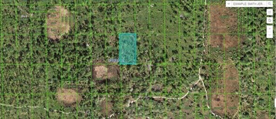 Lake Kissimmee Lot For Sale in Lake Wales Florida