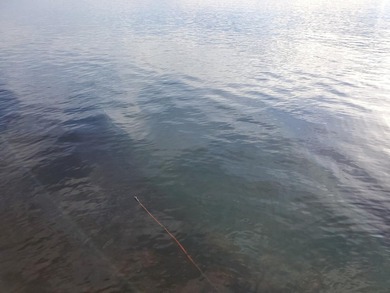 Beautiful south-facing lakefront parcel on 3,300-acre - photo 5