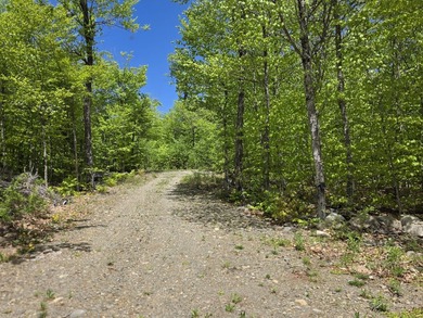 Beautiful south-facing lakefront parcel on 3,300-acre - photo 8