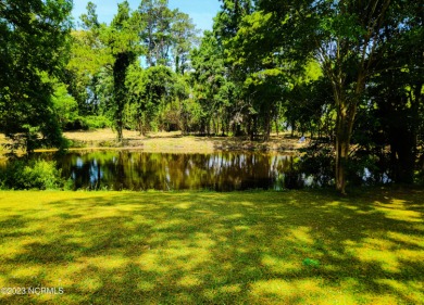 Bay River Lot For Sale in Bayboro North Carolina