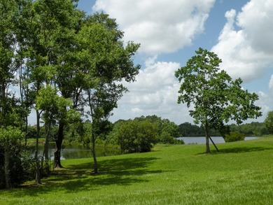 Great new home site on the lake - photo 11