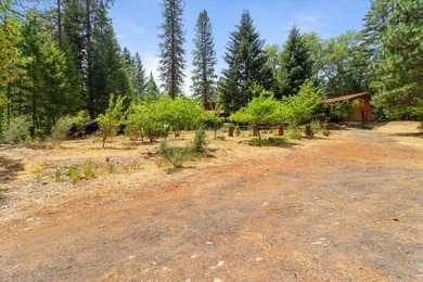 Here on Onion Mt, you can breathe. It feels secluded and - photo 43