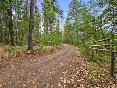 Here on Onion Mt, you can breathe. It feels secluded and - photo 51