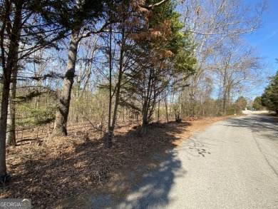 Majestic Shores is an upscale subdivision of newer homes in the - photo 2