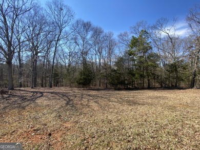 Majestic Shores is an upscale subdivision of newer homes in the - photo 2