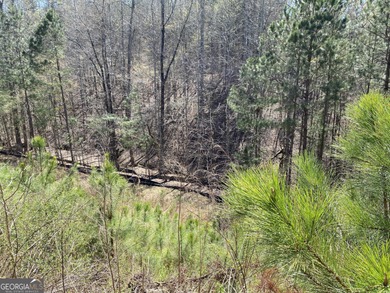 Lake Allatoona Lot For Sale in Canton Georgia