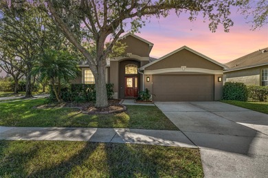 (private lake, pond, coastal) Home For Sale in Tampa Florida