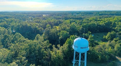 This property is an exciting opportunity for a subdivision! - photo 6