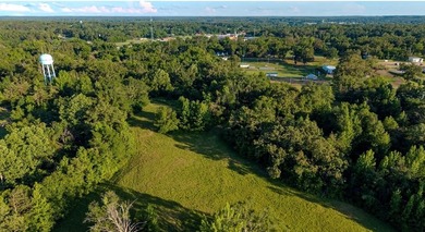 This property is an exciting opportunity for a subdivision! - photo 7