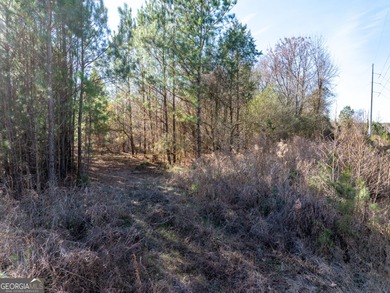 A Premier opportunity to develop an exclusive 21 lot estate - photo 3
