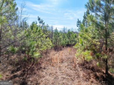 A Premier opportunity to develop an exclusive 21 lot estate - photo 4