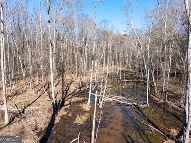 A Premier opportunity to develop an exclusive 21 lot estate - photo 5
