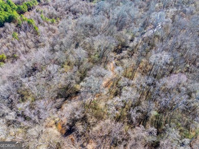 A Premier opportunity to develop an exclusive 21 lot estate - photo 7