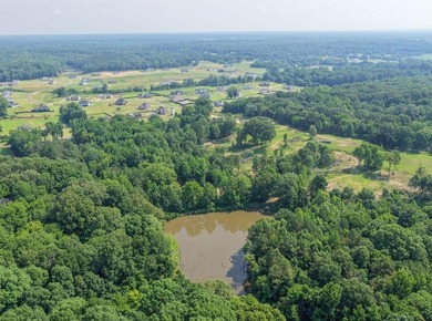 Located just around the corner from Gray's Creek Subdivision and - photo 1
