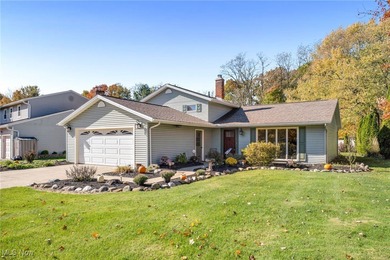 (private lake, pond, creek) Home Sale Pending in Brunswick Ohio