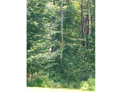  Lot For Sale in Springfield Twp - Mer Pennsylvania