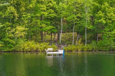 LONG POND Experience the best of lakefront living on Long Pond - photo 14