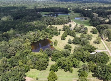 Nestled in the heart of a highly sought-after area in Hinds - photo 4