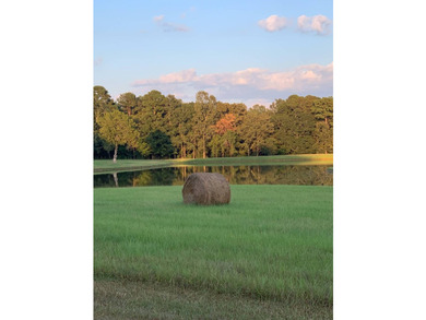 Nestled in the heart of a highly sought-after area in Hinds - photo 9