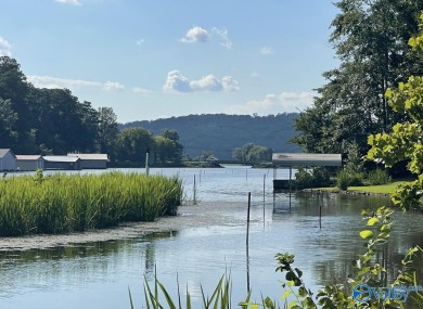 Lake Guntersville Lot For Sale in Guntersville Alabama