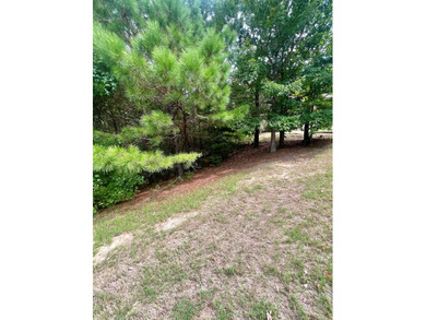 One of the last available lots in Tuscan Hills! Come check out - photo 3