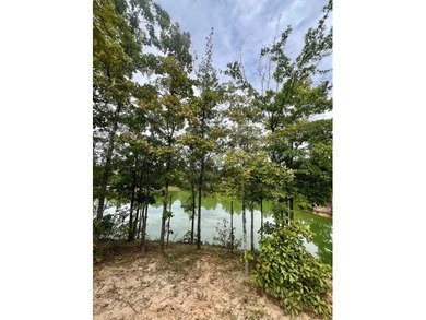 One of the last available lots in Tuscan Hills! Come check out - photo 5
