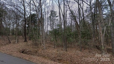 **ATTENTION: 5 LOTS IN 1 LISTING! Ask agent for details.** For - photo 2