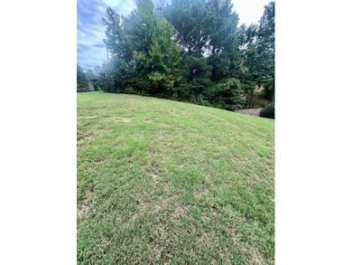 One of the last vacant lots in Tuscan Hills is ready for your - photo 2