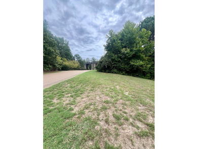 One of the last vacant lots in Tuscan Hills is ready for your - photo 3