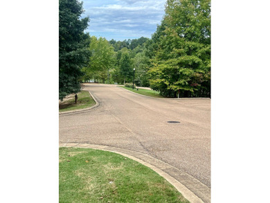 One of the last vacant lots in Tuscan Hills is ready for your - photo 5