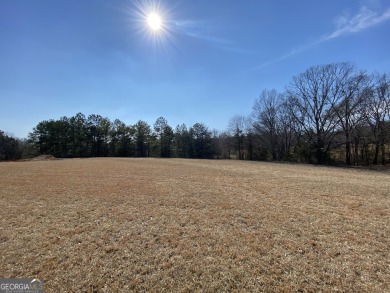 Lake Lot For Sale in Hartwell, Georgia