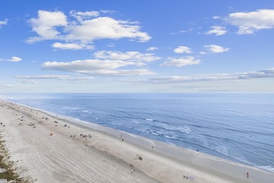 OCEANFRONT PARADISE WITH BREATHTAKING VIEWS! Welcome to One - photo 47