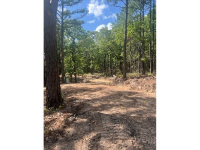 (private lake, pond, creek) Acreage For Sale in Tuskahoma Oklahoma