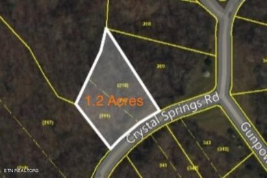 Lake Lot For Sale in Rockwood, Tennessee