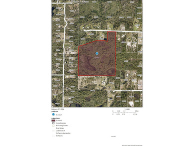 (private lake, pond, creek) Acreage For Sale in Deland Florida