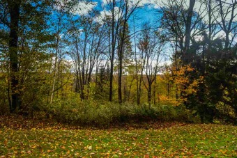 Lake Lot Off Market in Wilmington, Vermont