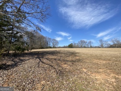 Lake Lot For Sale in Hartwell, Georgia