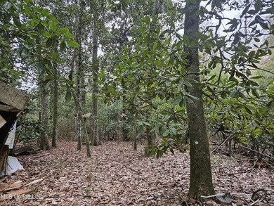 Discover a rare riverfront offering on the scenic Biloxi River - photo 11