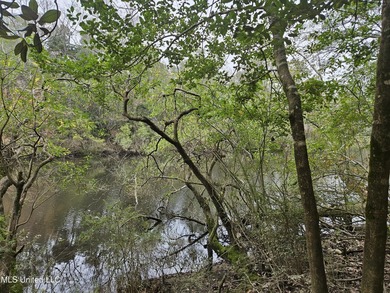 Discover a rare riverfront offering on the scenic Biloxi River - photo 13