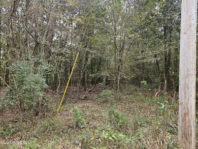 Discover a rare riverfront offering on the scenic Biloxi River - photo 16