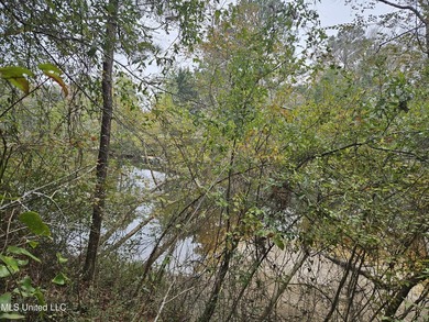 Discover a rare riverfront offering on the scenic Biloxi River - photo 17
