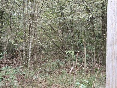 Discover a rare riverfront offering on the scenic Biloxi River - photo 18