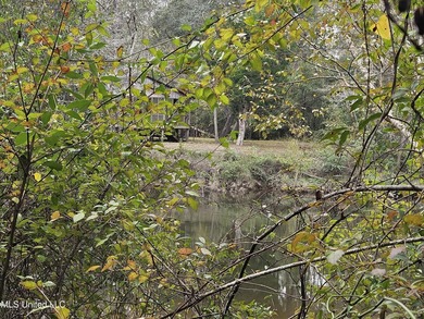 Discover a rare riverfront offering on the scenic Biloxi River - photo 21