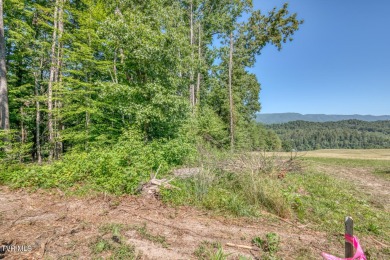 Watauga Lake Acreage For Sale in Butler Tennessee