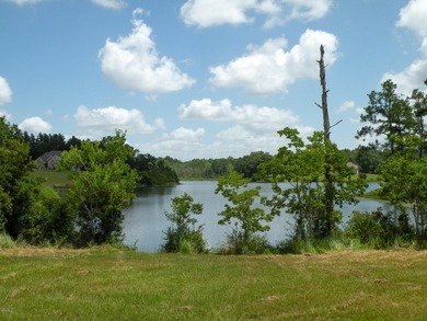Great new home site on the lake - photo 18