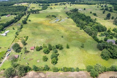 Escape the city life to the tranquility of East Texas with this - photo 24