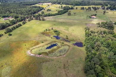 Escape the city life to the tranquility of East Texas with this - photo 26